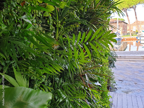 Green plants grow vertically on the wall against the backdrop of an urban landscape.