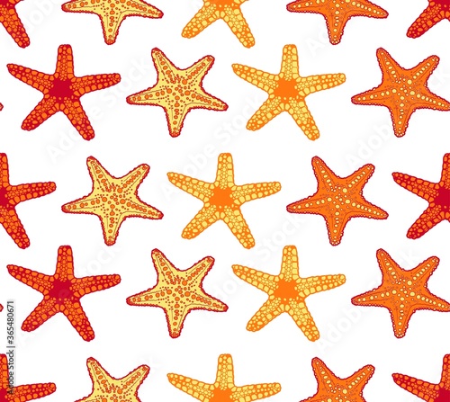 Starfish vector seamless pattern colorfull