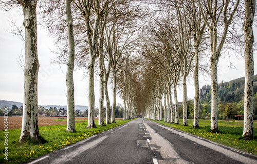 alley old patched road in the countryside with hills and green grass 