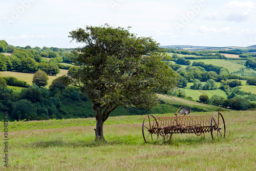 Exmoor countryside near  Exford, Exmoor, Somerset, England © Alan