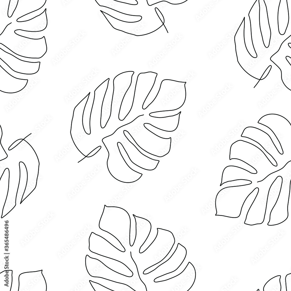 Hand-drawn monstera leaves on a white background