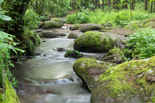 sommerlicher Leraubach bei Leuchtenberg