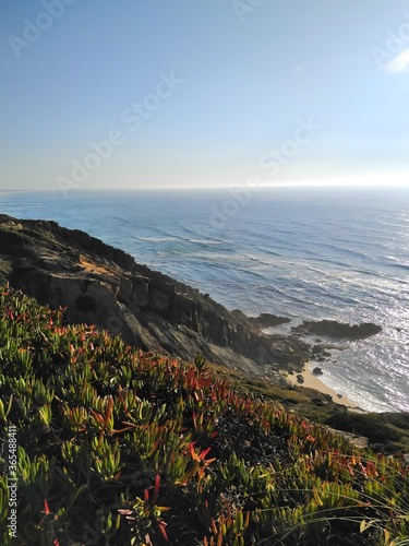 Horizons in Portugal