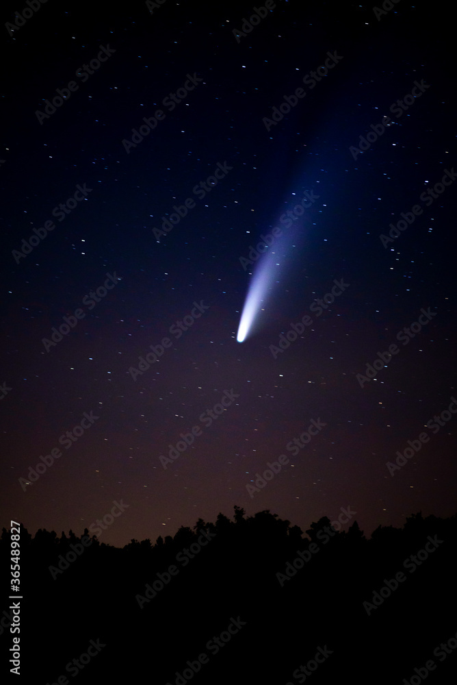 The comet Neowise C/2020 F3 flying over the horizon in CHKO Cesky Raj in Czech republic. - obrazy, fototapety, plakaty 