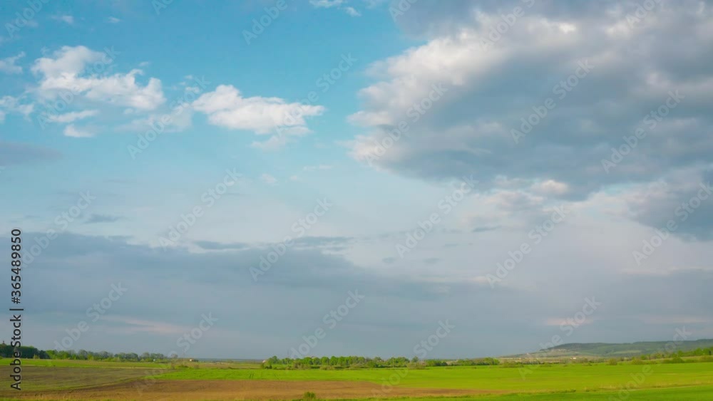 Flying over a green wheat field, agricultural industry. Natural texture background in motion. Harvest organic cultivate Flying over a green wheat field, agricultural industry. Natural texture background in motion. Harvest organic cultivate