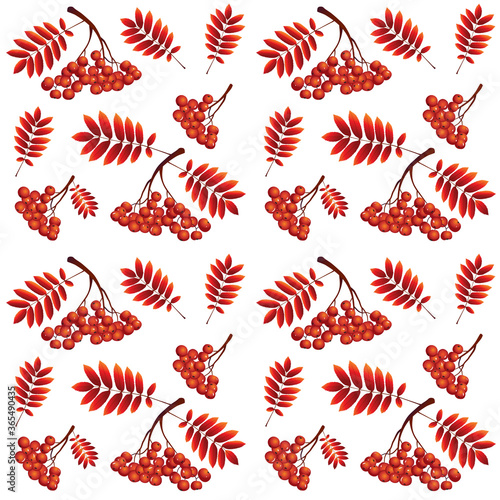 Rowan branch with leaf and berries seamless background
