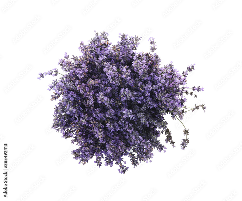 Obraz premium Beautiful lavender bouquet isolated on white, top view
