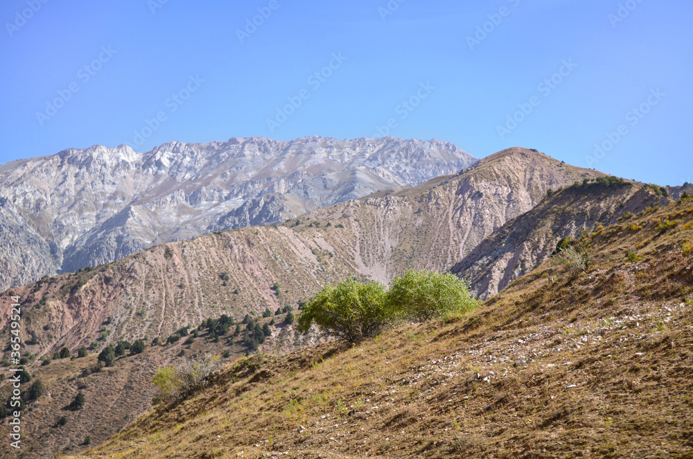 Beautiful mountains Beldersay, mountain landscape with blue sky, visible rocks and trees against the blue sky. Uzbekistan.