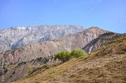 Beautiful mountains Beldersay, mountain landscape with blue sky, visible rocks and trees against the blue sky. Uzbekistan.