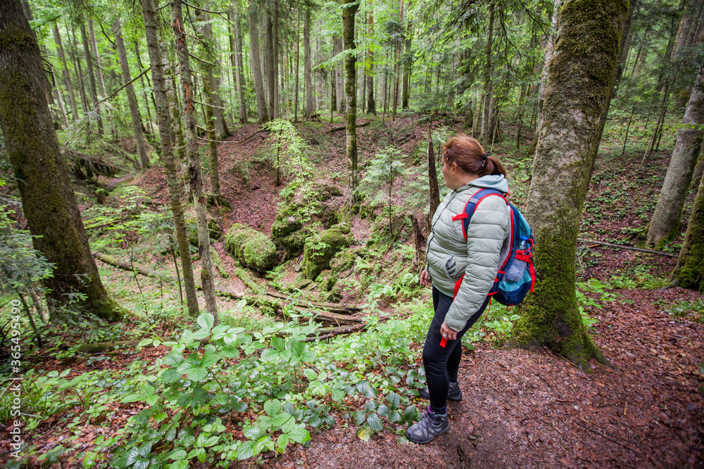 Hiker Woman With Backpack In the Forest Enjoying Nature Hiker Woman With Backpack In the Forest Enjoying Nature