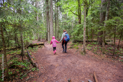 Family hiking in beautiful summer forest, Healthy Active Lifestyle , Mother And Daughter Walking In Nature