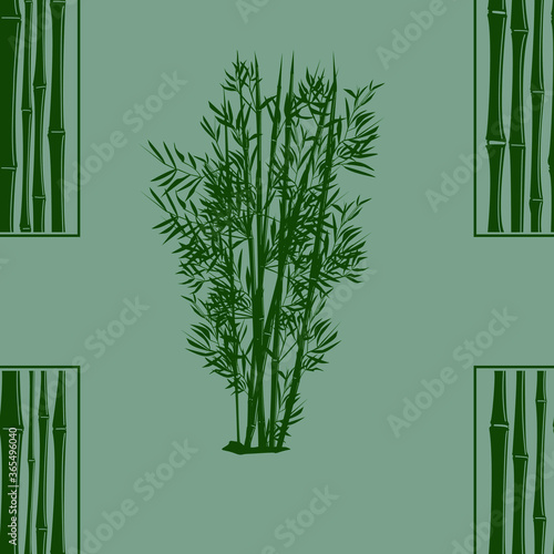 bamboo background vector