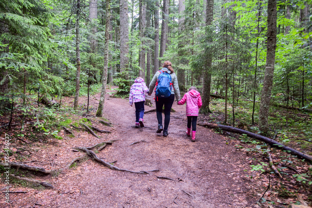 Fototapeta premium Family Adventure In Beautiful Summer Forest, Healthy Active Lifestyle