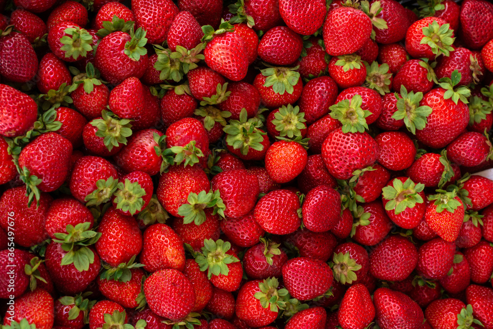 strawberries photography, fruits, top view strawberries photography, fruits, top view