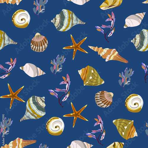 Seamless vector color pattern with shells. Hand drawn мarine background. Suitable for greetings, invitations, wrapping paper, textile.