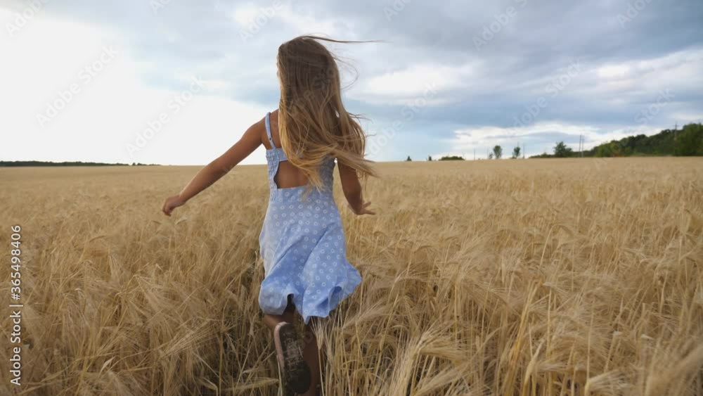 Follow to cute happy child in dress running through wheat field, turning to camera and smiling. Beautiful girl with long blonde hair jogging over the meadow of barley at overcast day. Slow motion Follow to cute happy child in dress running through wheat field, turning to camera and smiling. Beautiful girl with long blonde hair jogging over the meadow of barley at overcast day. Slow motion