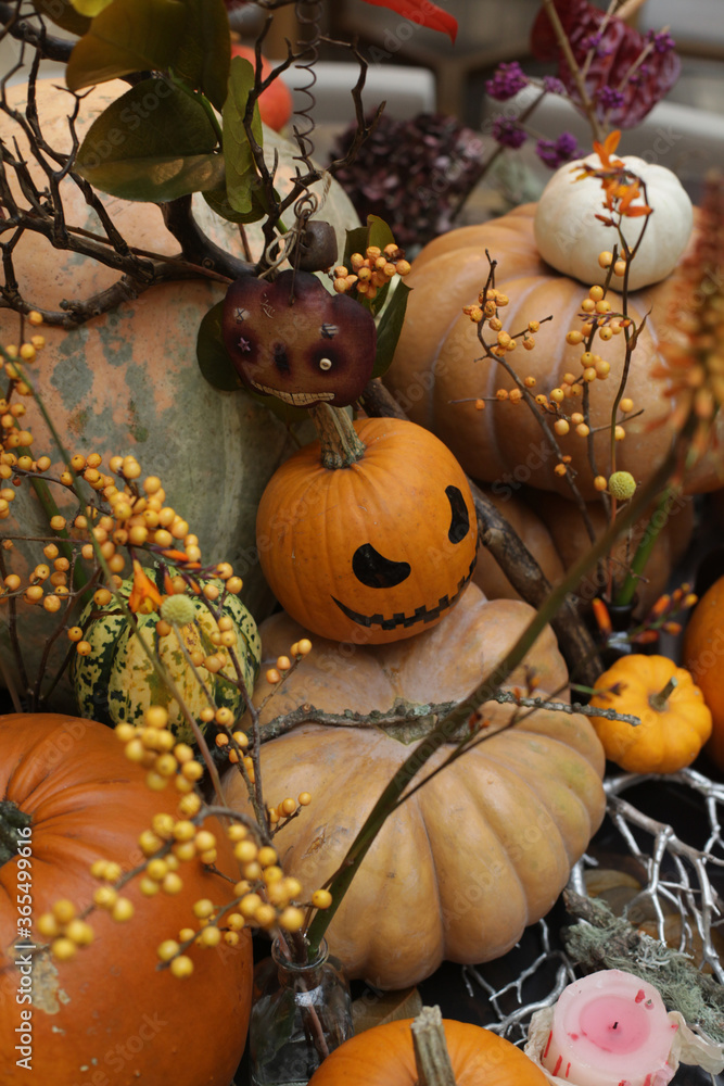 Interior decoration with decorative autumn pumpkins for Halloween holiday.  Fall still life with plants, pumpkins. Holiday decor. Horror. Halloween  jack-o'-lanterns. Halloween mood, party. October 31 foto de Stock | Adobe  Stock