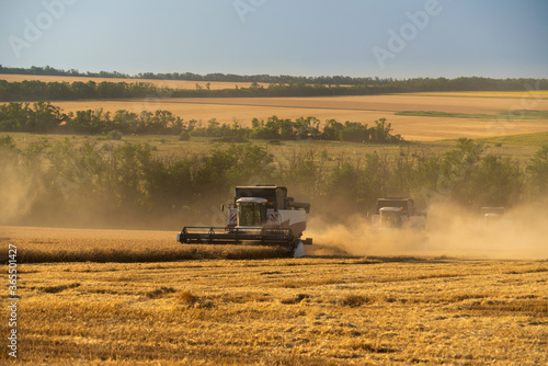 Combine harvesters on the field © scharfsinn86