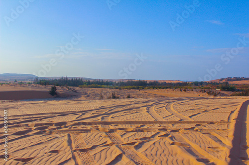 sand in the desert in the morning has beautiful sky background