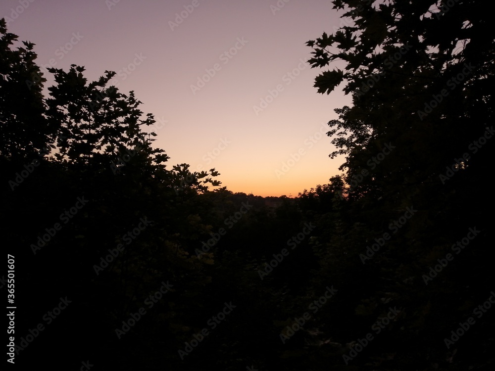 sunset in the woods sunset in the woods
