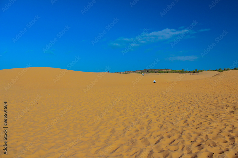 sand in the desert in the morning has beautiful sky background