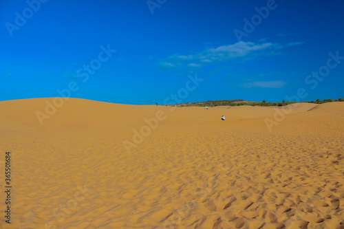sand in the desert in the morning has beautiful sky background