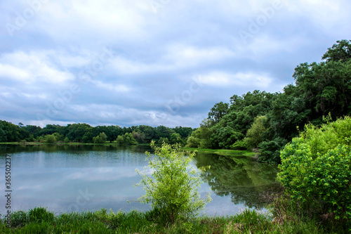 The beautiful central state park,Tallahassee Florida