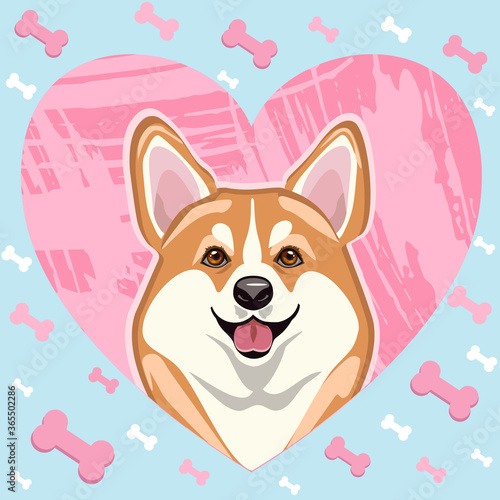 Smiling cute welsh corgi dog with a pink heart and favorite bones.