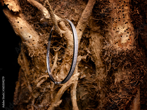 Silver bracelet laying on a tree photo