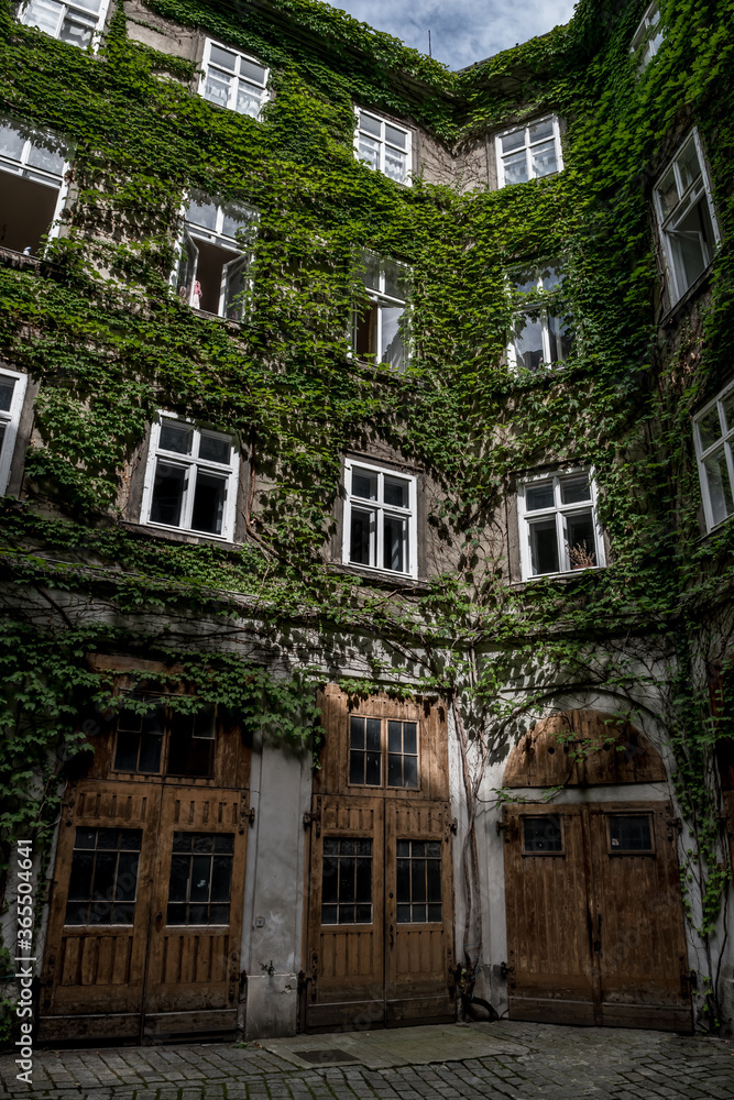 Courtyard Of A HIstoric Building With Ivy Overgrown Walls
