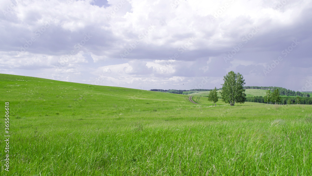 Fototapeta premium landscape a country road on the side of a green hill and the sky with dark clouds