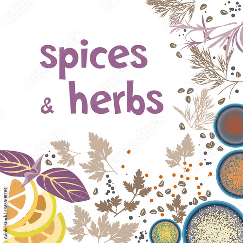 Spices and kitchen herbs, vector label template design.