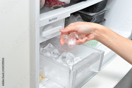 Woman with ice cubes from the freezer. An ice maker in a household refrigerator. photo
