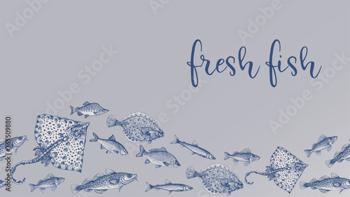 Fsh, seafood, flounder, stingray, salmon, smelt, roach, compass, old wind rose Doodles design elements business cards, banners, menu