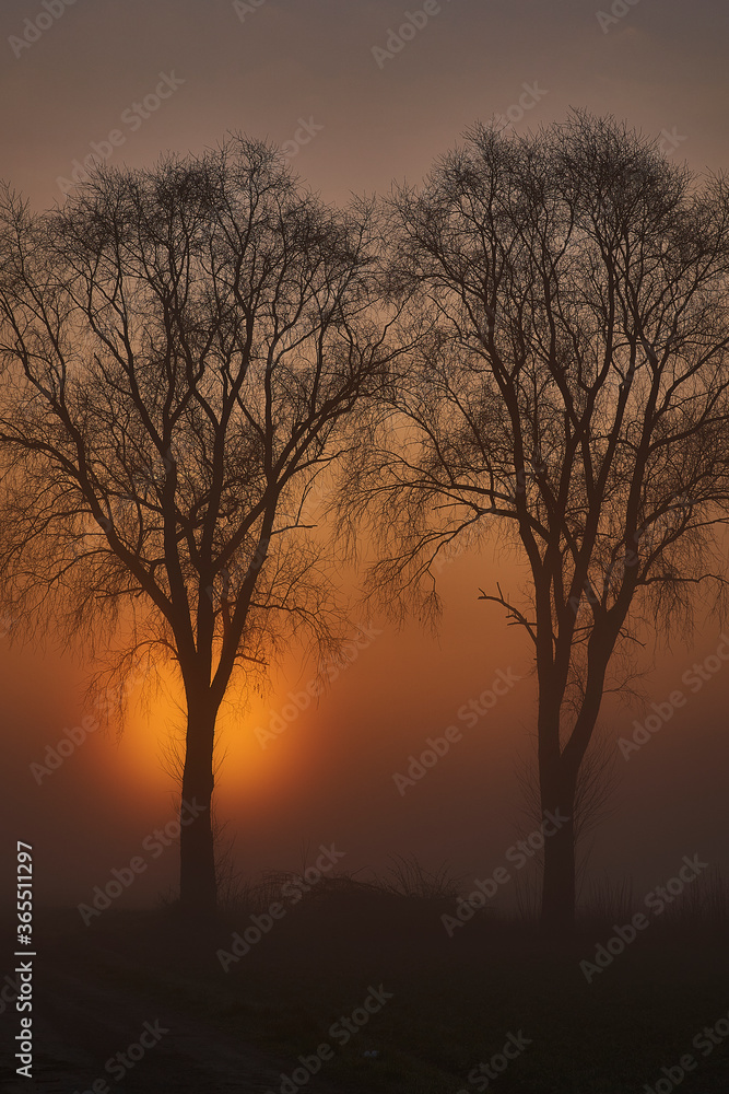 Morgenstimmung Morgenstimmung