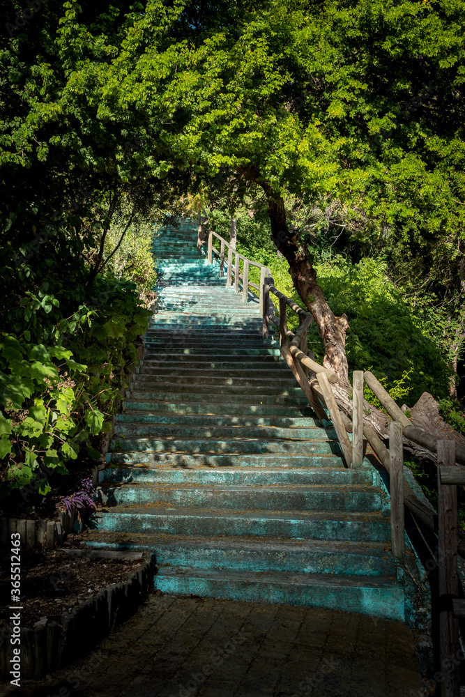 Turquoise blue stairs with wooden railings in the field