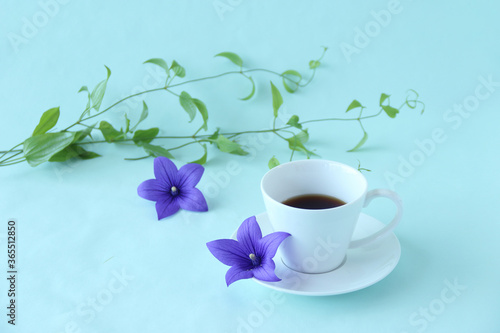 コーヒーとキキョウの花と利休草