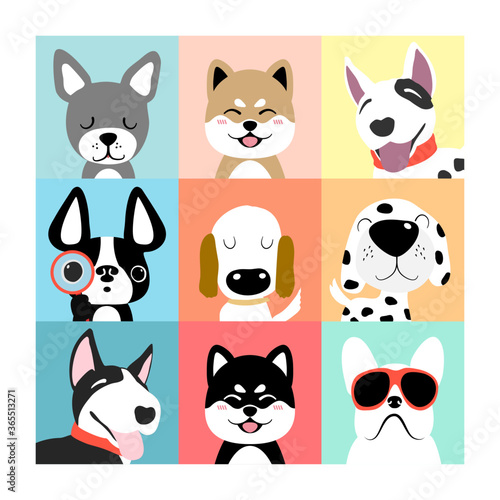 Dogs collection. Vector illustration of funny cartoon different breeds dogs in trendy flat style. 