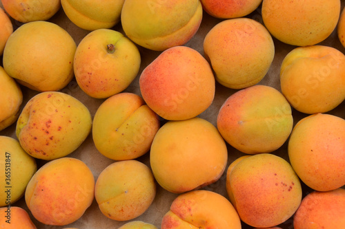 Apricots background. Fresh organic apricot fruits. Countryside garden harvest. Fruit salad, smoothie, pie and jam ingredient.