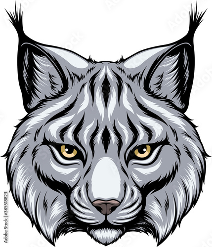 Lynx head vector