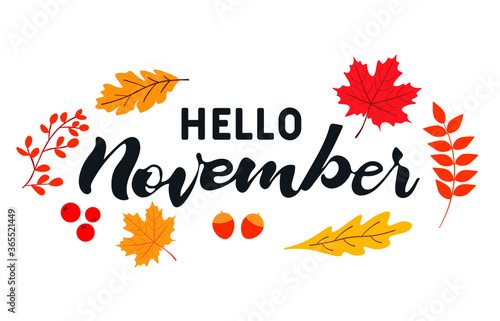 Hand drawn typography lettering phrase Hello November with autumn leaves. Month November for calendar. Vector illustration as poster, postcard, greeting card, invitation template. 