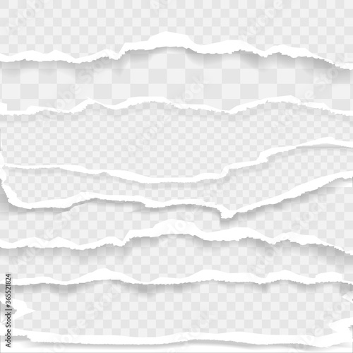 Torn, ripped pieces of white and grey paper
