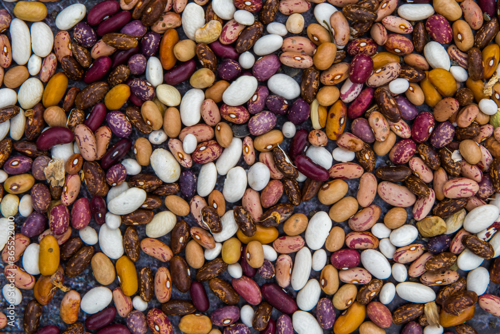 mixed beans background mixed beans background