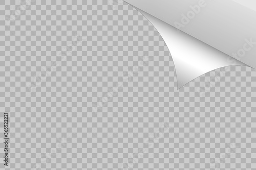 Curled corner of paper on transparent background with soft shadows