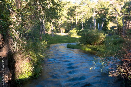 Dawn light in summer on the Cimarron River in Cimarron Canyon State Park in New Mexico s Sangre de Cristo Mountains