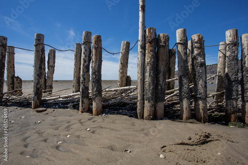 Dutch landscape, North sea sandy beach during low tide