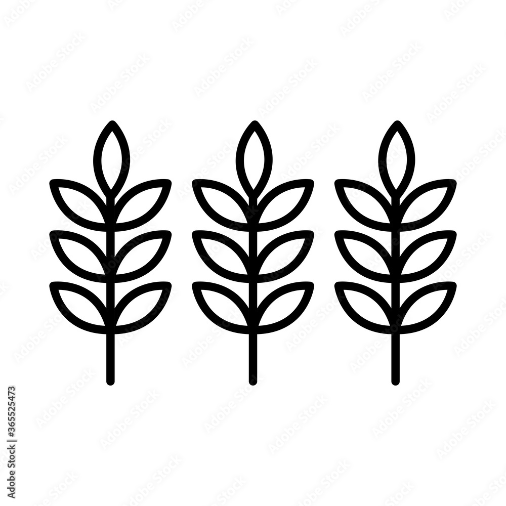 Wheat ears line style icon design, Food grain agriculture natural seed plant organic and corn theme Vector illustration