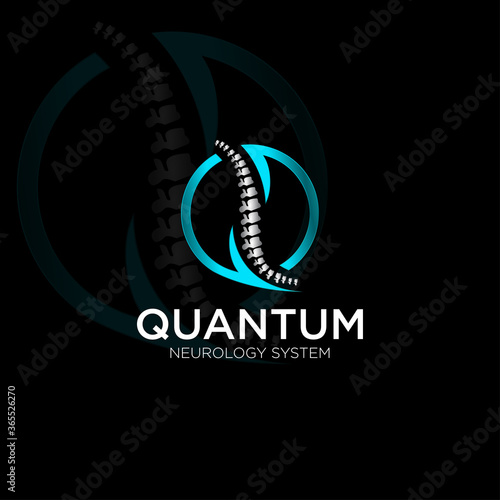 quantum neurology system, 3d spine, initial q  and n vector