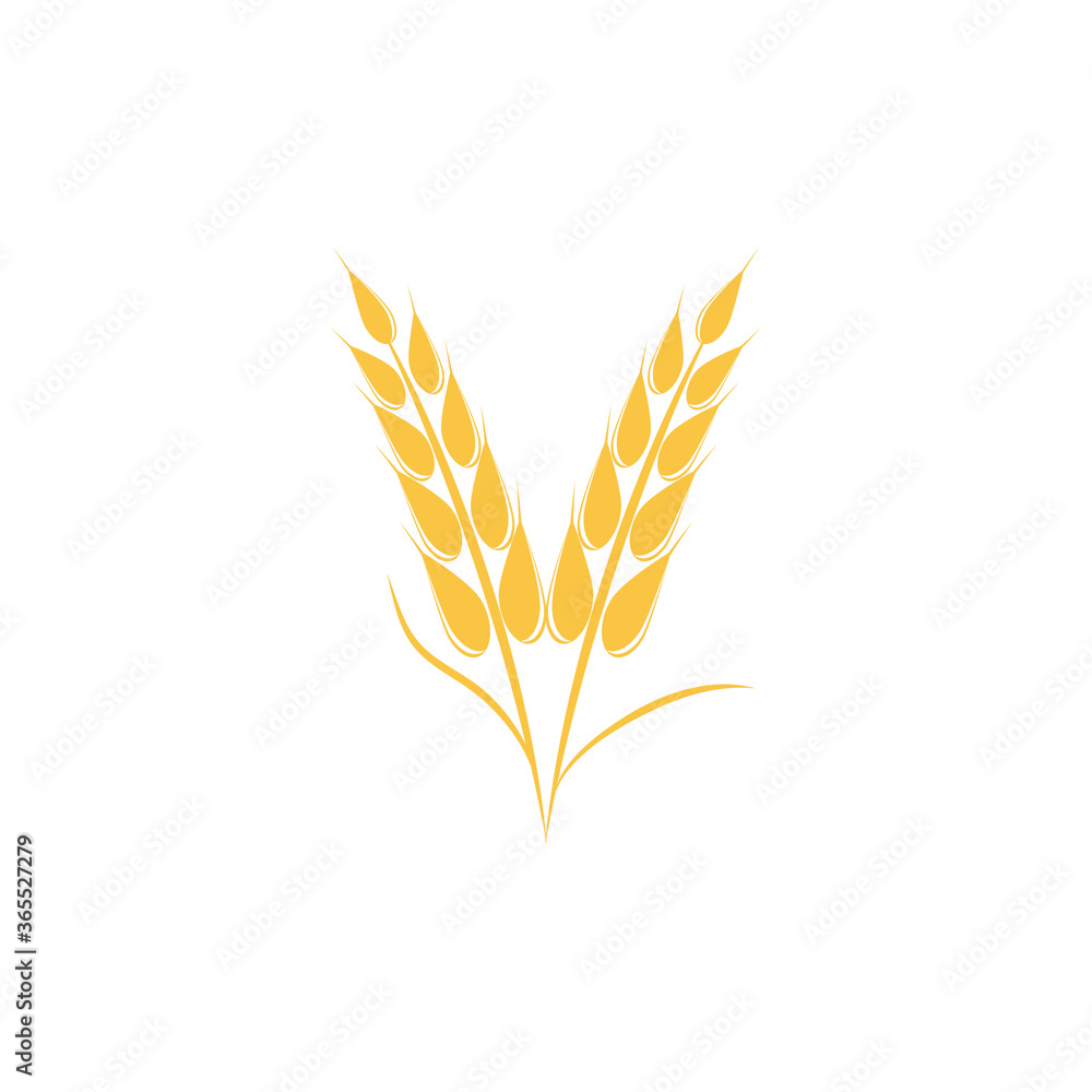 Wheat Logo Template vector symbol Wheat Logo Template vector symbol