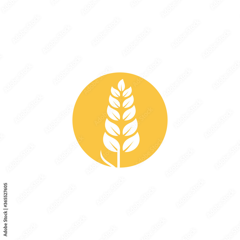 Wheat Logo Template vector symbol Wheat Logo Template vector symbol